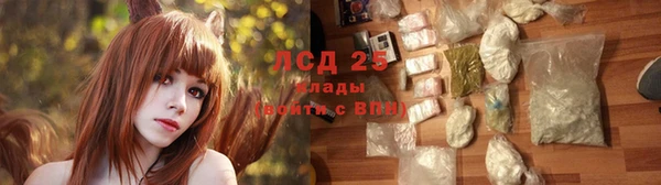 гидра Арсеньев