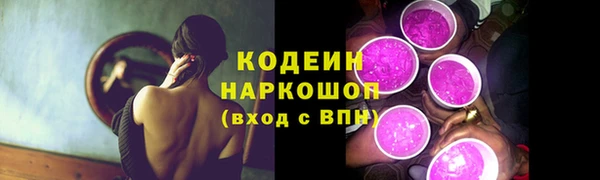 гидра Арсеньев
