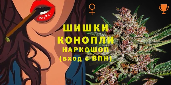 spice Аркадак