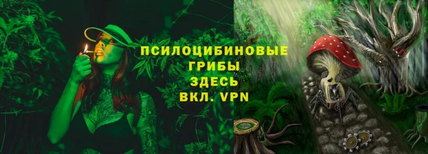 spice Аркадак